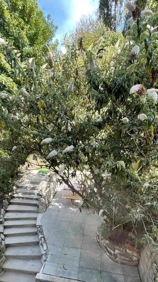 Au Jardin De La Basilique Lejlighed Boulogne-sur-Mer Eksteriør billede