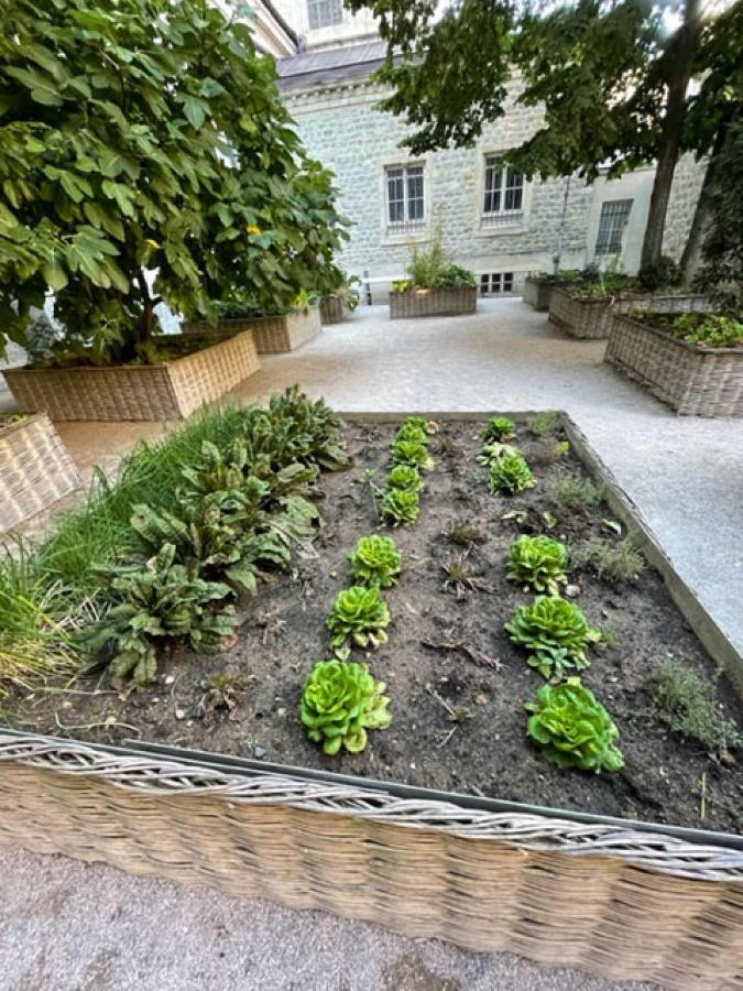 Au Jardin De La Basilique Lejlighed Boulogne-sur-Mer Eksteriør billede